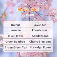 Premium Essential Oils Discovery Set - NAMSTE (5ml x 10)